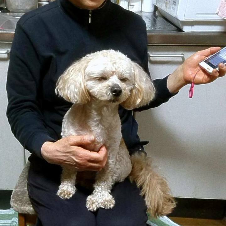 Ac17ac1c 81b6 423b 860f 77fc7f769bbf 1524573025272