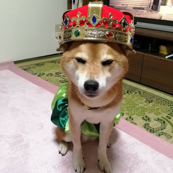 Ac17dcbe d54c 4810 84e5 ab9e9a95c052 1666778242687