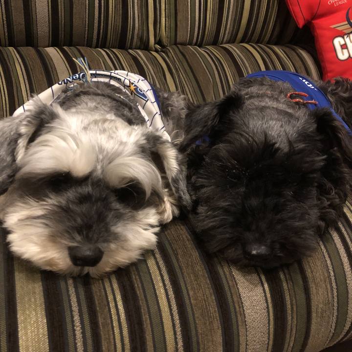 Ac1878a7 039c 4c6f 9454 7e9302b58fa0 1560253907817