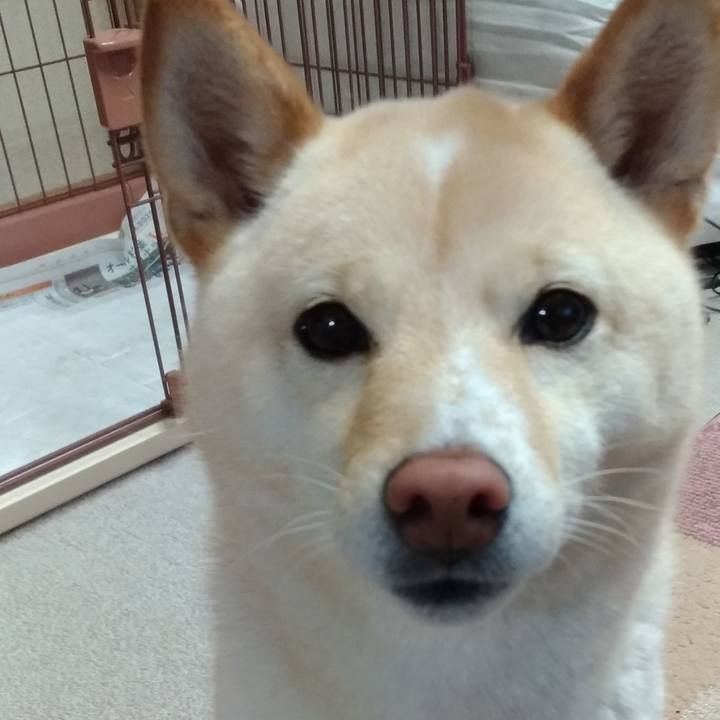 Ac18ebe5 b5d4 4271 a609 7dd4d2385180 1583275018444