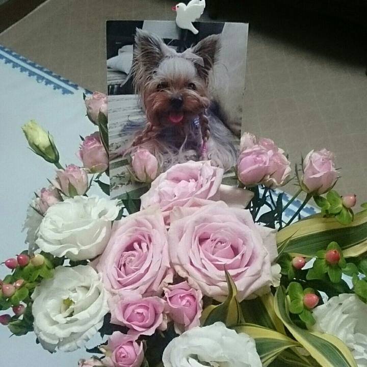 Ac18ef26 ecff 4380 95b9 a56c0b93c823 1536721814674