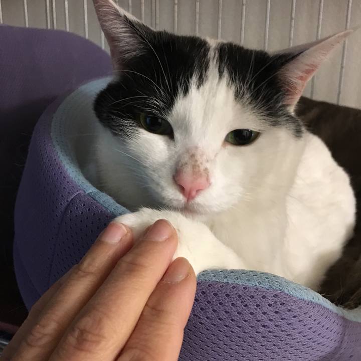 Ac18f659 f3f8 4211 8e09 f041dd068d00 1583508979022