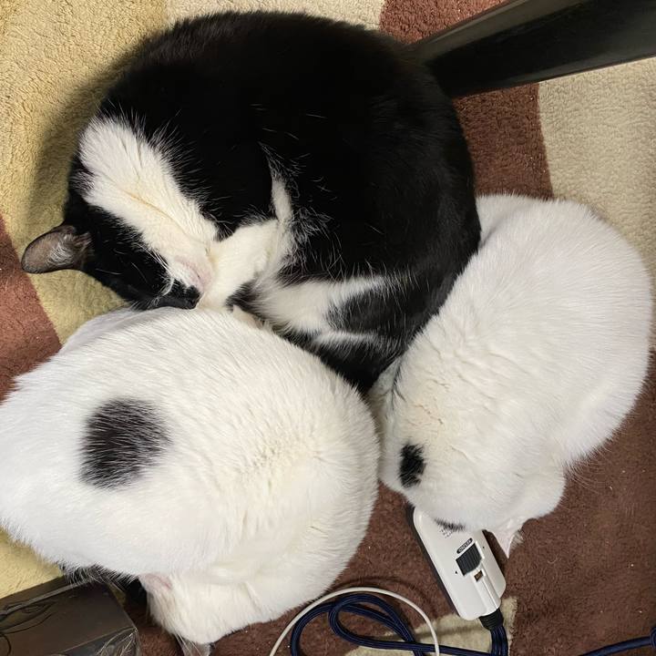 Ac198fe5 edbb 4a3d 980e cb7c1d7be6e6 1611020120669