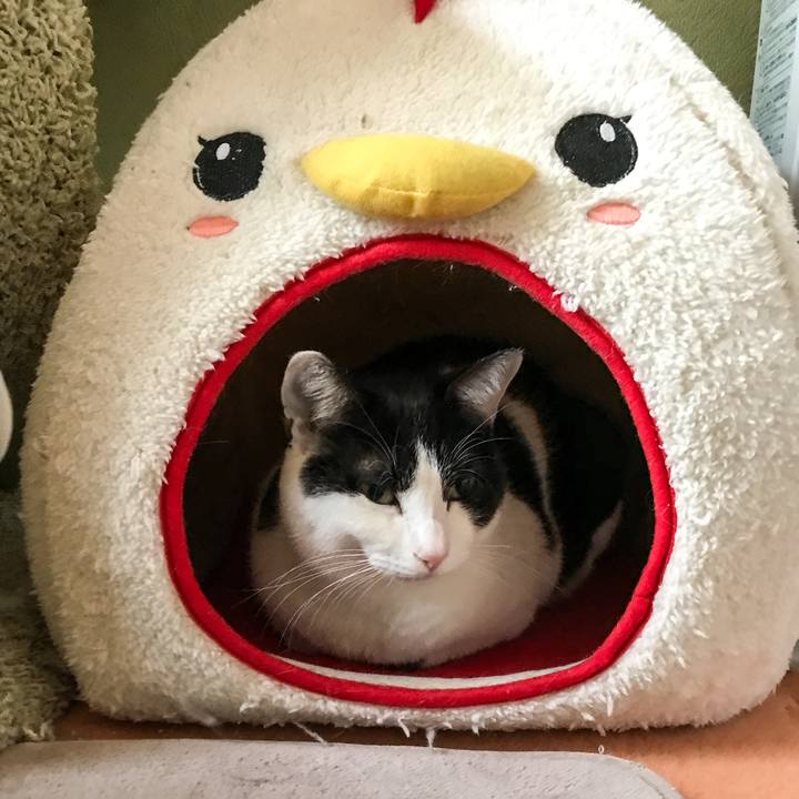 Ac199e84 cfcf 4ab9 aa82 367fbfb5c534 1516247985357