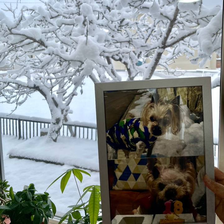 Ac19a93c 0abd 4156 9bf3 c2838564d3df 1763459539122