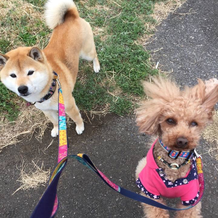 Ac19c56e 0ad8 40ce a10a e5a520980357 1521970255705