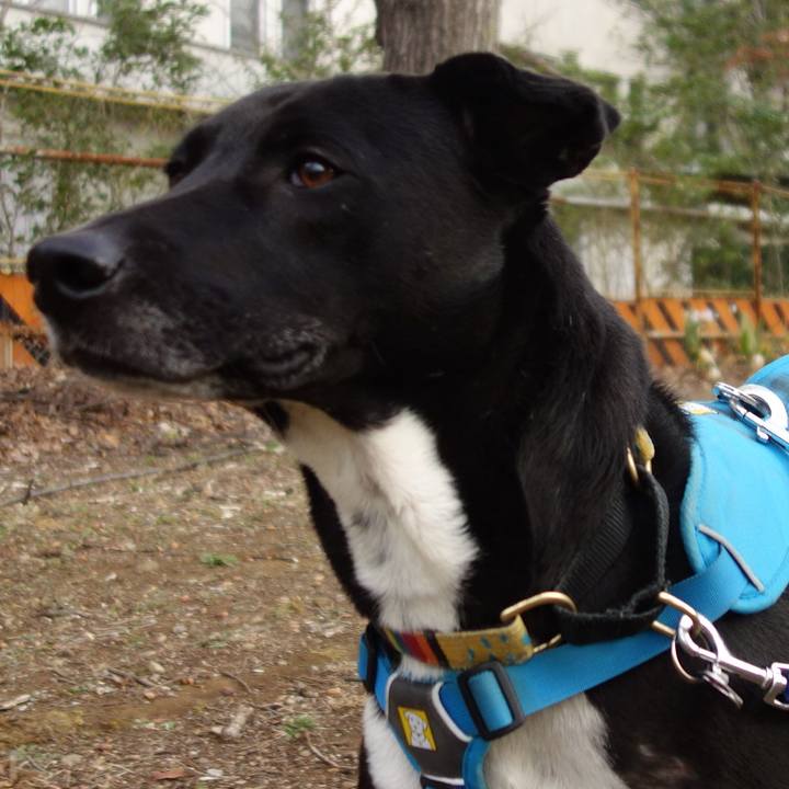 Ac19df25 3176 4b99 8d47 e6136b8c3ba7 1615507244868