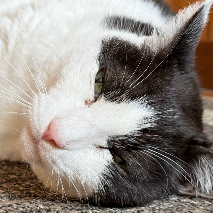 Ac19ed46 8a71 4c70 91f8 f620cd721d37 1745895349202