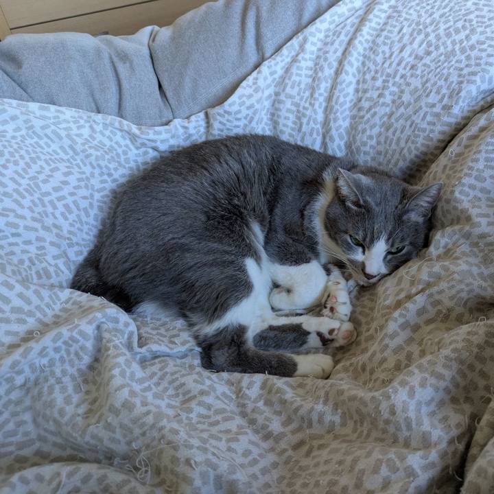 Ac1a00ae 164c 44e1 a4b1 1070767f2ce4 1737166179058