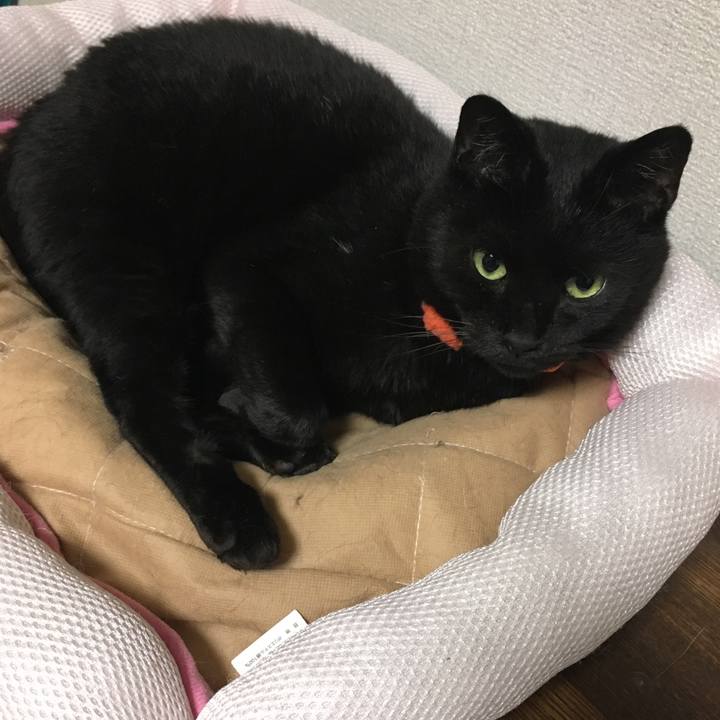 Ac1a1504 acb3 4edc 8e1b e7cbc574c867 1538399282183