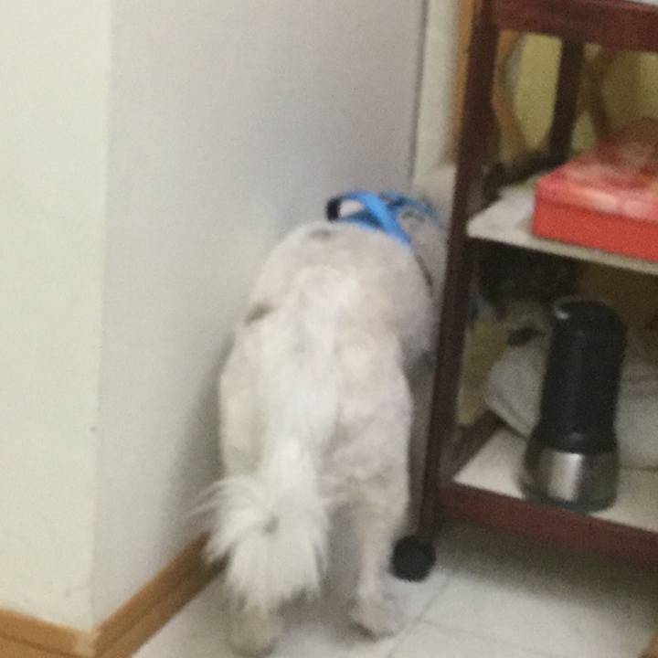 Ac1a3487 2ee6 4d97 abba 29d8ea5c26c4 1599313686775