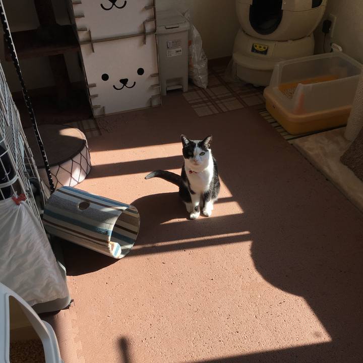 Ac1a5b69 9459 44c0 923b 69b1e499213e 1509070157680