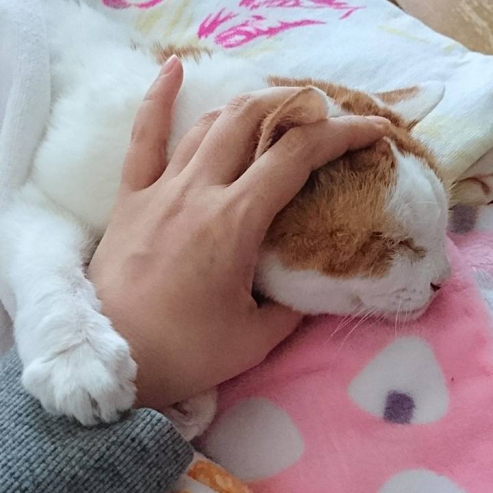 Ac1a74f2 1b7c 40dc 9841 db38eff88724 1660185744998