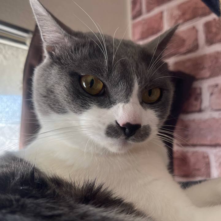 Ac1a8efd e4d4 488e b930 91c3ea041706 1640307118846