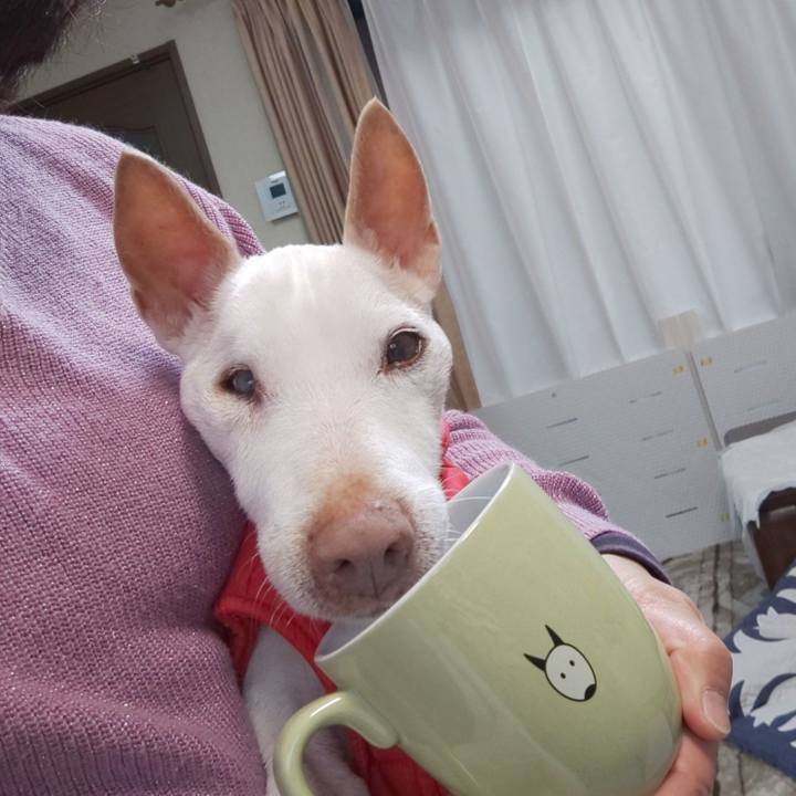 Ac1aaff8 eff4 49b4 a046 efb6f45b8d53 1586735888262