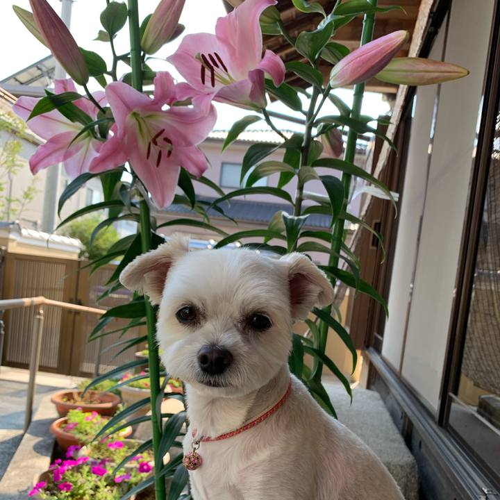 Ac1ac909 7d33 46d8 b9cb f0ce009de533 1624433741630