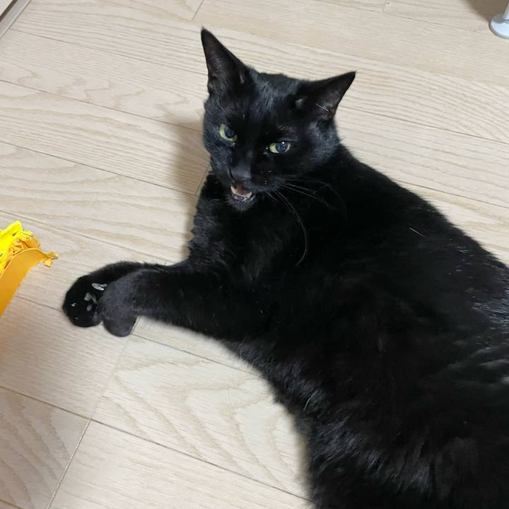 Ac1acb65 8e45 4b91 b916 c6f5b9eb2b3a 1738674364094