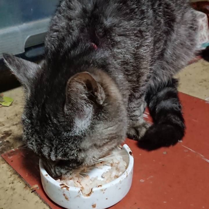 Ac1af255 4858 43e5 8ddd b819d70f2a48 1585169483548