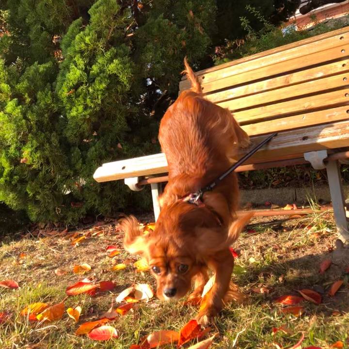 Ac1b4010 ac19 4a13 be8d 684d023022f2 1574091600929