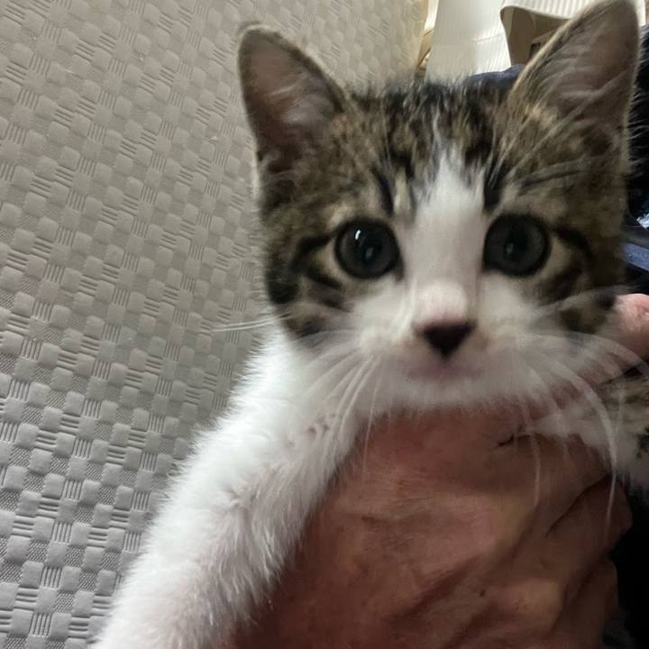 Ac1b55ba 87de 465c a2e4 0491ecd3b951 1765538732371