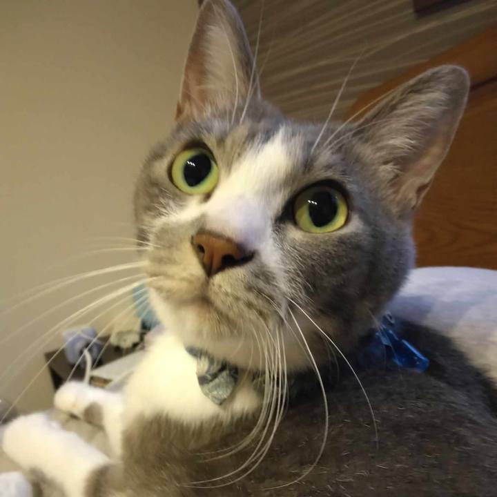 Ac1b5bc9 8513 4be2 9803 f79fb9197035 1696156516084