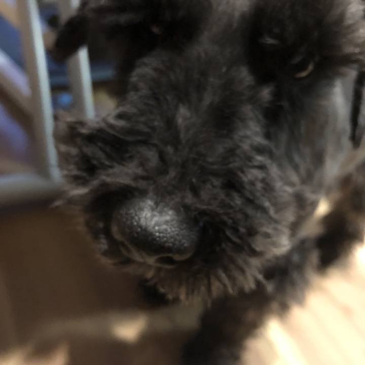 Ac1bbf58 c0af 47e3 9214 04c0cf366391 1523478583375