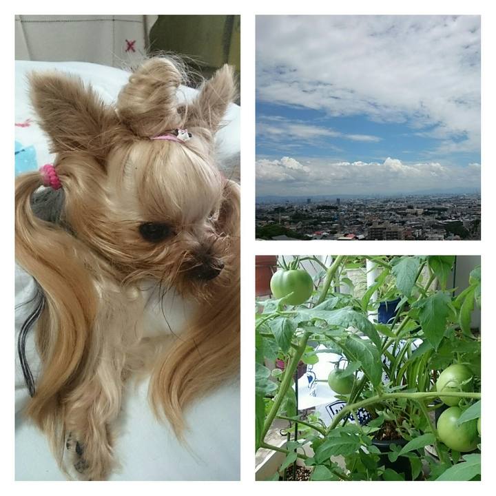 Ac1beb61 7e86 4d1f 8bc2 b610aa44ca8e 1531020099809