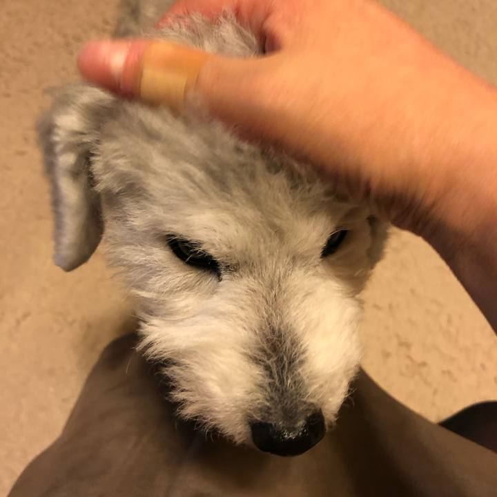 Ac1bfa7a 7a0c 4505 b785 ee5192ef0274 1645789034098