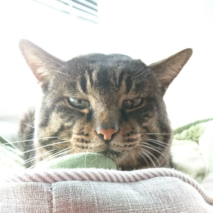 Ac1c036f 71a6 4738 9857 b26fad534fdb 1545342194136