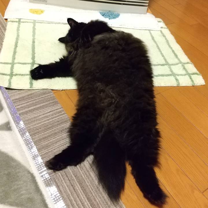 Ac1c0c4c 70b6 480d 9ea6 a148ef288342 1607587136814