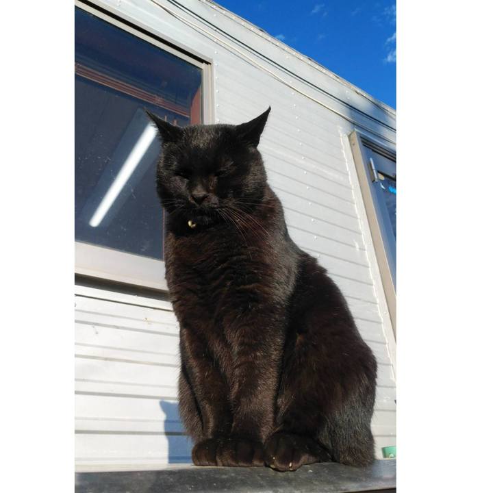 Ac1c31e3 ef34 46cb 92b8 aeec9d3cb388 1608855650161