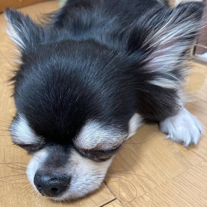 Ac1c3ba0 3f24 49c3 b47c a619d251a546 1651838115764