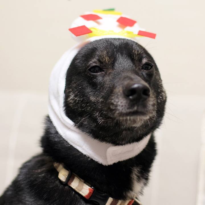 Ac1c7045 f17e 4ae6 a1c0 1c7ba3618689 1515108734805