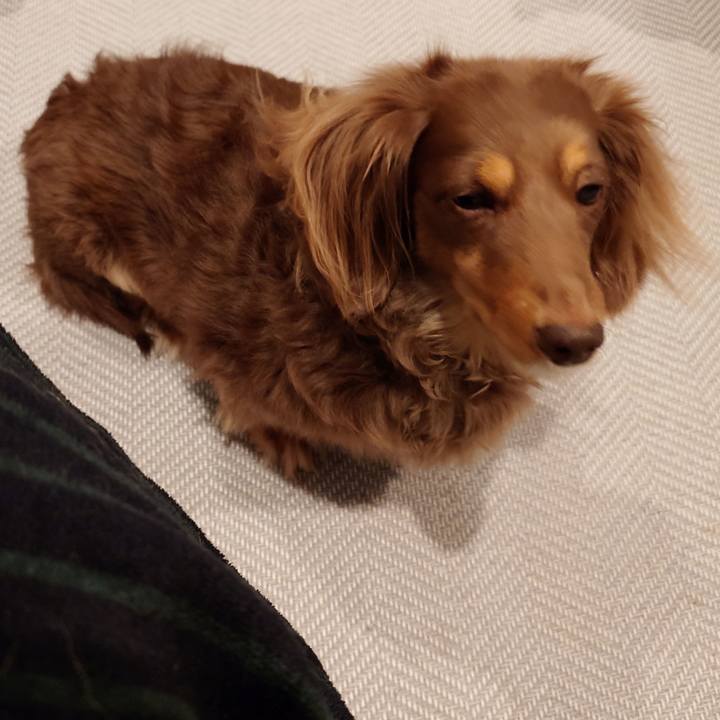 Ac1c7a9b 4387 4689 95a3 9d2d77041eb7 1730644864964