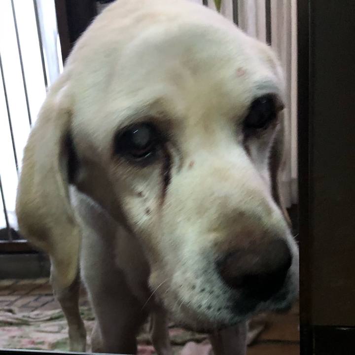 Ac1cb16b 6700 488b b436 c22ba010398f 1508501124697