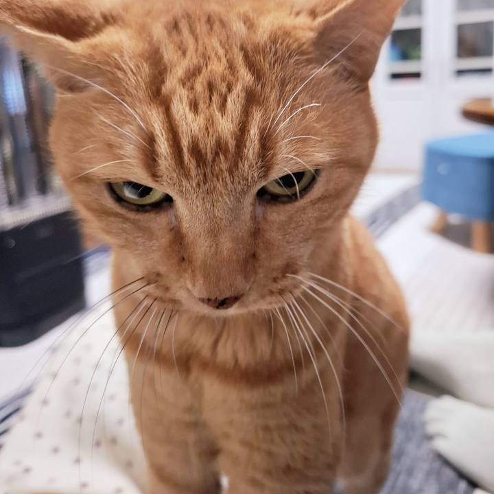 Ac1cd3db 8428 426d 903b 93cc23b3b56c 1732623789215