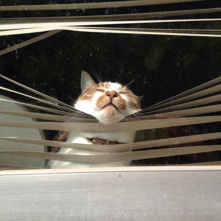 Ac1d31e8 6811 403f ae50 0da63b2aa7cd 1531807207091