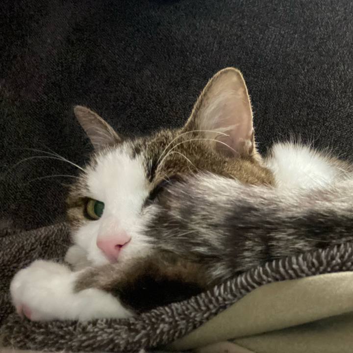 Ac1d5159 4327 4577 98ba 7e44a0a2d888 1587039824358