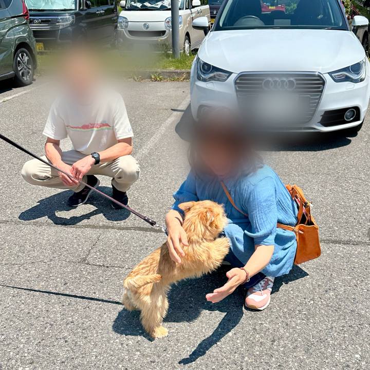 Ac1d585c be3d 44af 9ebd e0887a4998ff 1717305830594