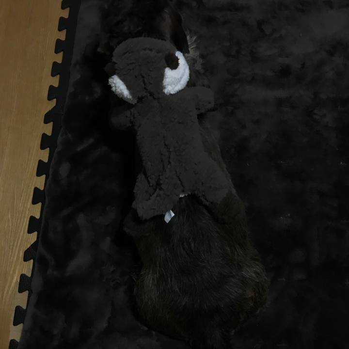 Ac1d73e7 7d12 4e62 a2bd f97d6942f220 1549550501512