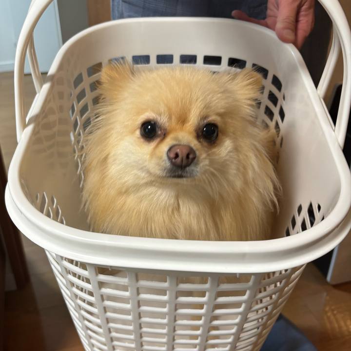 Ac1db937 3836 406d ad76 b5ac00902af6 1756296454525