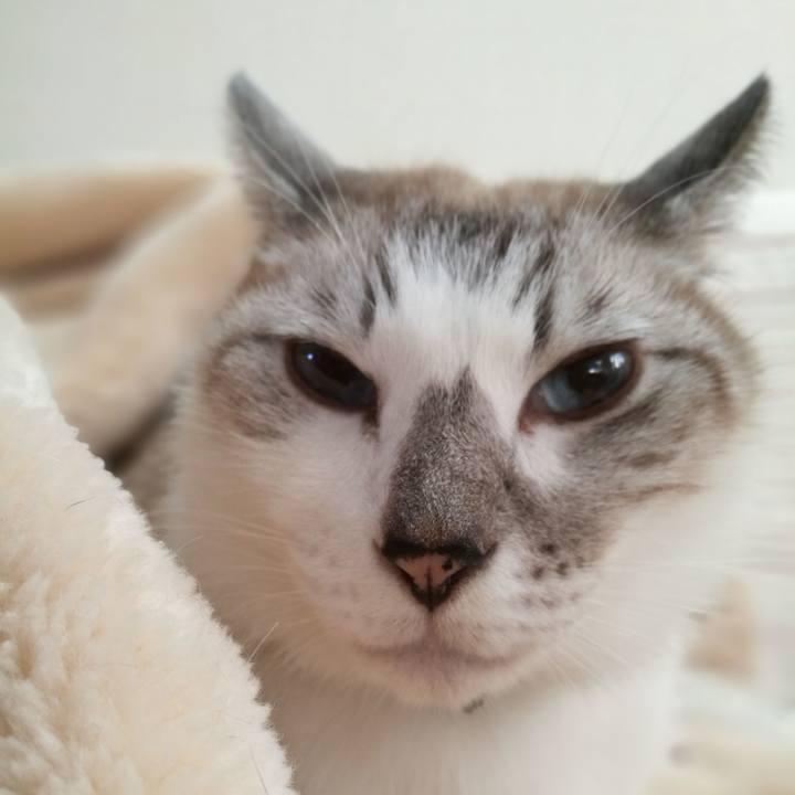 Ac1dc1d3 4162 467c 9fe2 3190bc2bc5f3 1508279906490