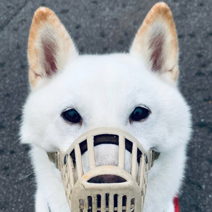 Ac1dcdcf 00cf 46b7 94b5 dbc6fd37e1ca 1663275422597