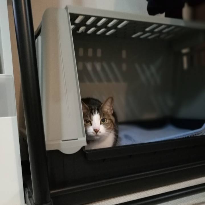 Ac1e0c66 a6b1 46ed bd0b 9cbd693449e1 1557573727173