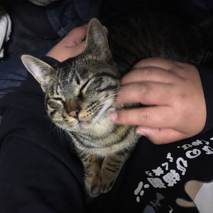 Ac1e282c 59c7 402d a317 761bd6488af8 1605279440889