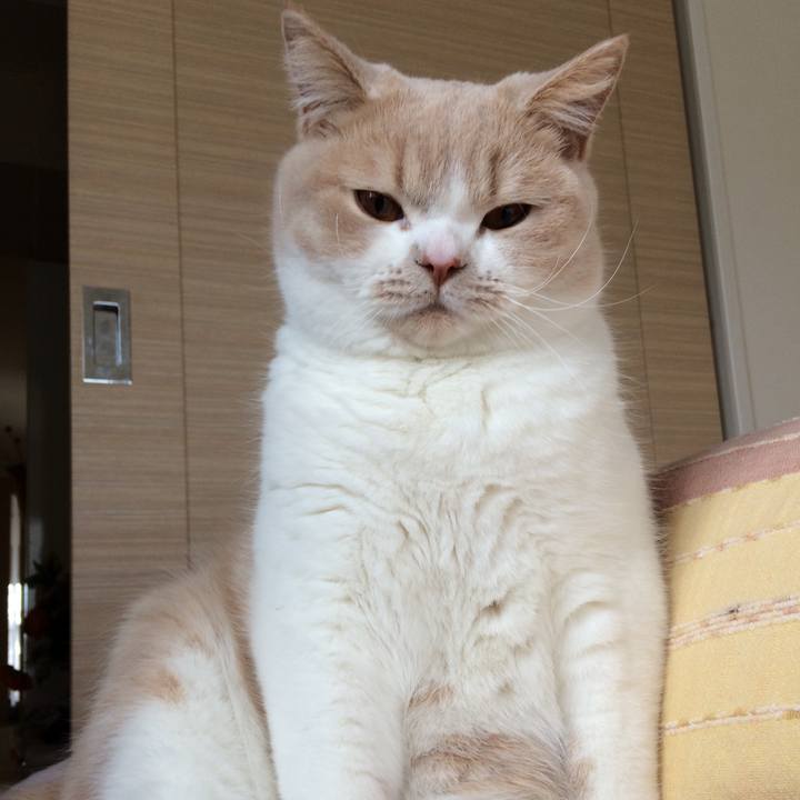 Ac1e39b6 2779 426a aafb 9cea654e7362 1508377371728