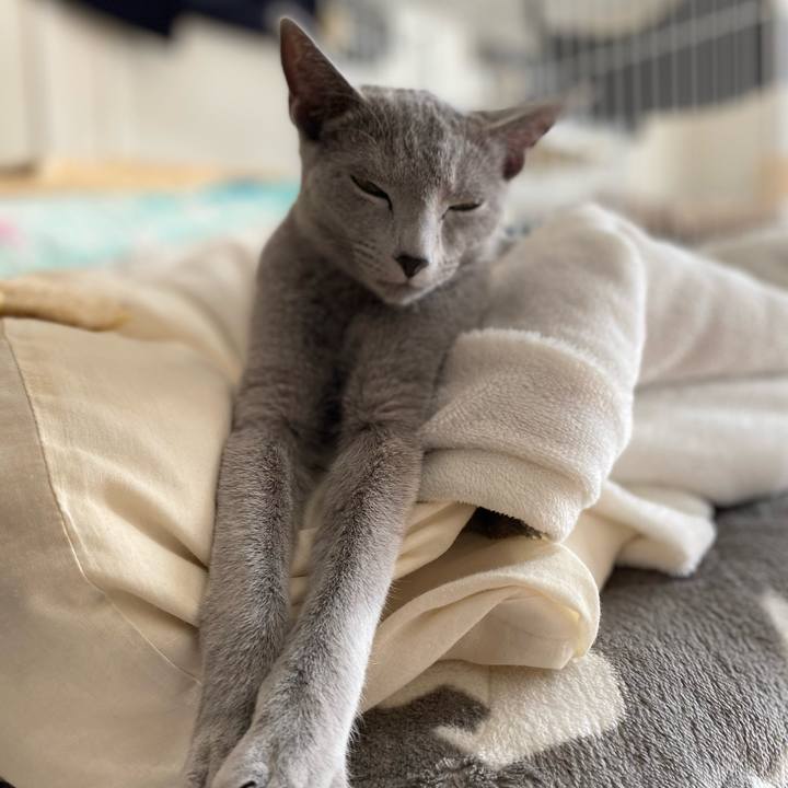 Ac1e53d7 bc30 4940 9068 1dc497c8b909 1608084347230