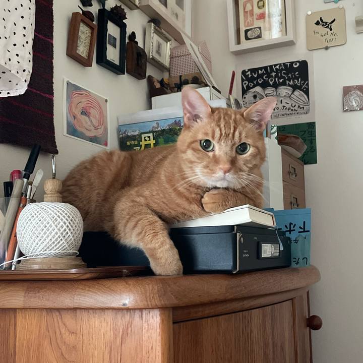 Ac1e7213 8965 4c21 8081 8107ebd50858 1751359067681