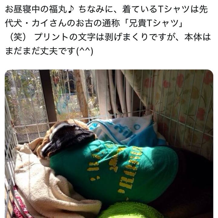 Ac1ee84b 0a64 4ac3 be6d d3c9134cb147 1737860809820