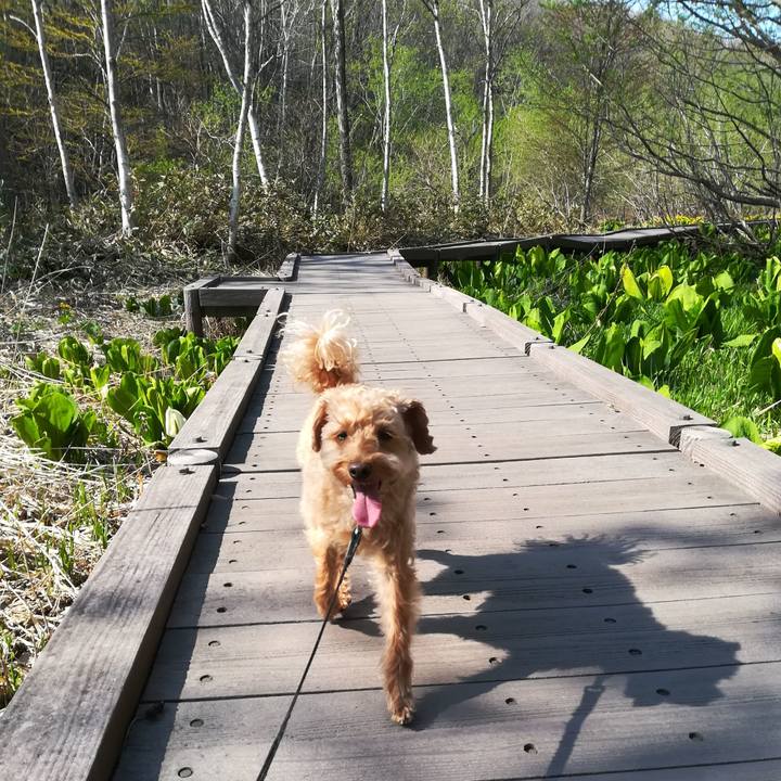 Ac1f0086 69cb 4ac0 b2f6 01088b5454e4 1557458890771